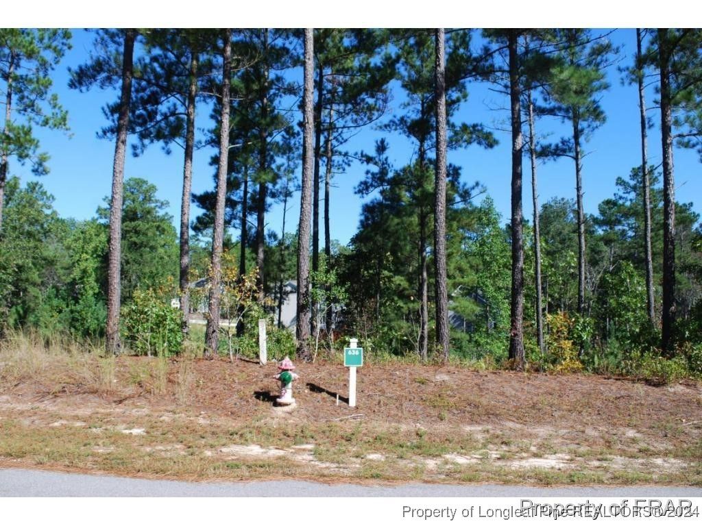 162 Broadlake (636) Lane, Spring Lake, NC 28390 — exterior