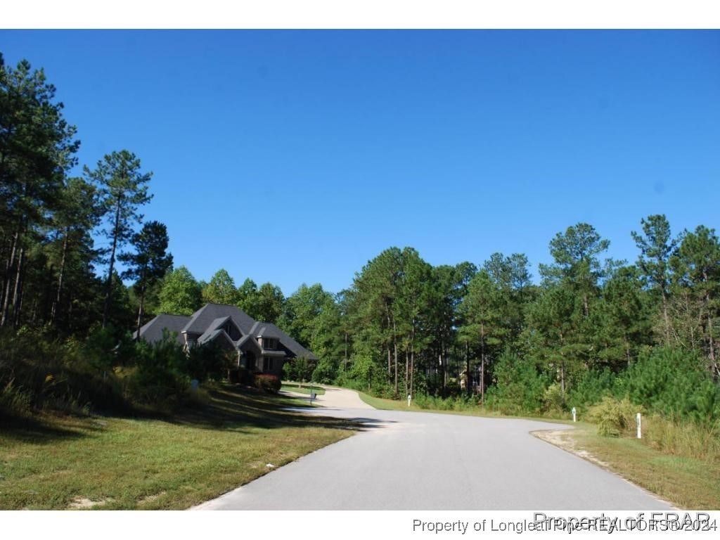 162 Broadlake (636) Lane, Spring Lake, NC 28390 — photo 10