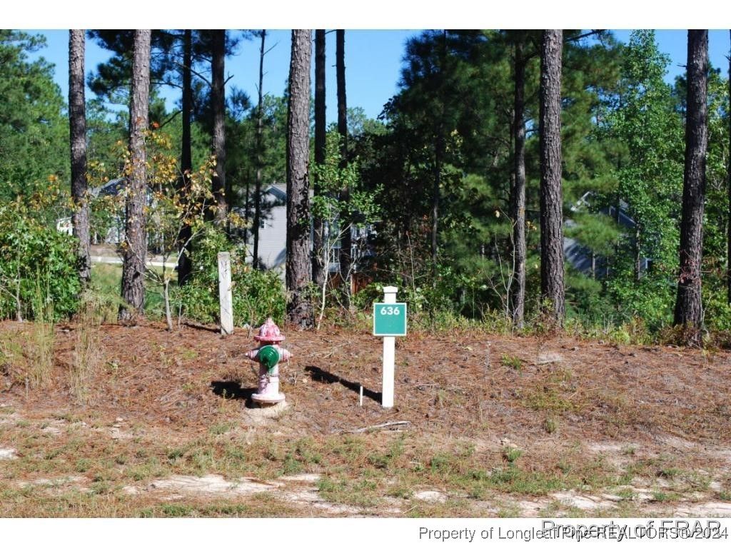 162 Broadlake (636) Lane, Spring Lake, NC 28390 — photo 2