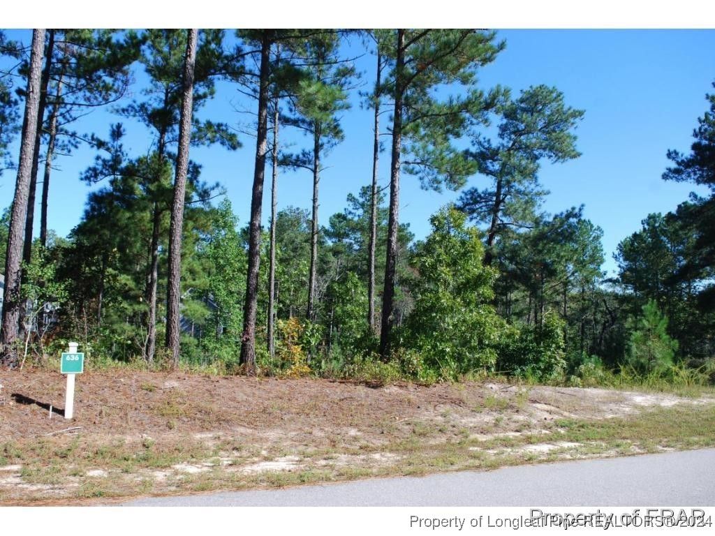 162 Broadlake (636) Lane, Spring Lake, NC 28390 — photo 3
