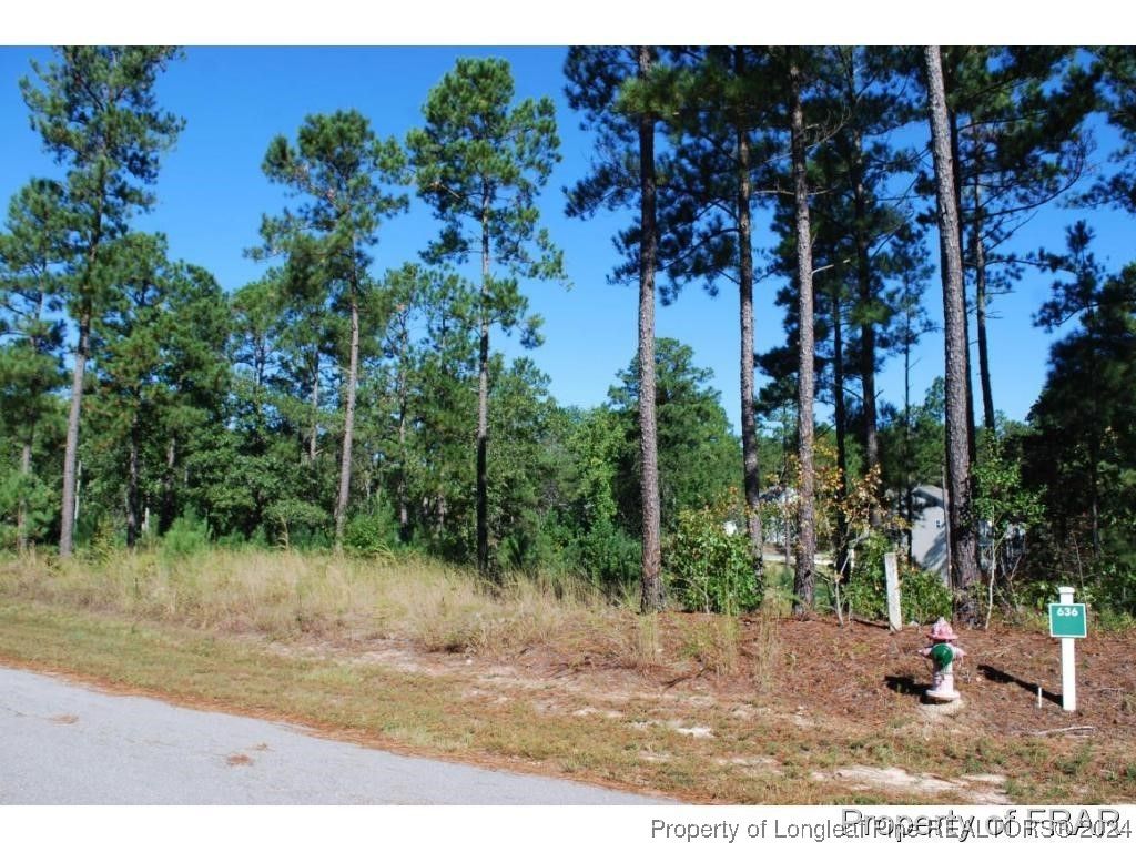 162 Broadlake (636) Lane, Spring Lake, NC 28390 — photo 4