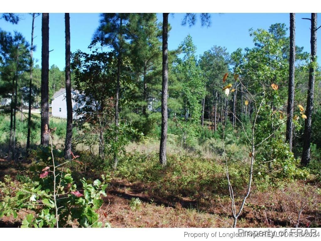 162 Broadlake (636) Lane, Spring Lake, NC 28390 — photo 5