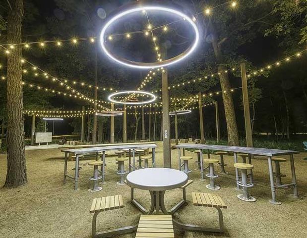 149 S Carson Cub Court, Montgomery, TX 77316