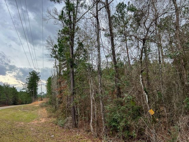 T-2 County Road 1019, Newton, TX 75966