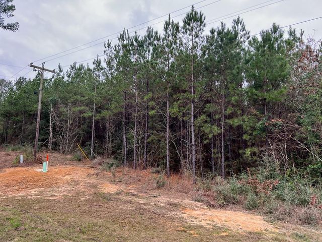 T-2 County Road 1019, Newton, TX 75966