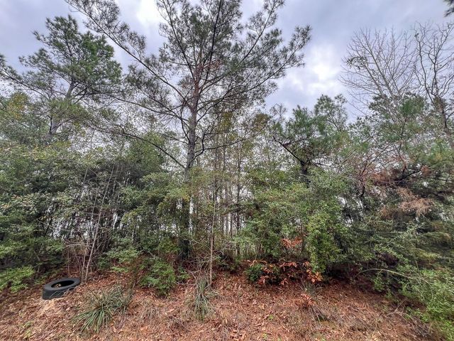 T-2 County Road 1019, Newton, TX 75966