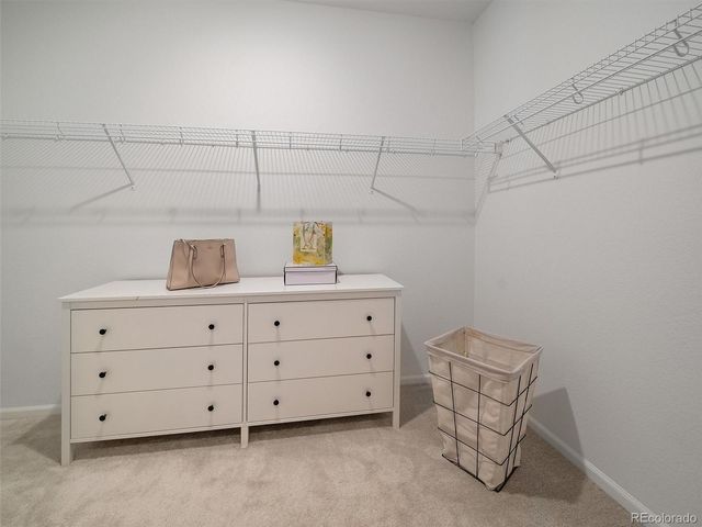 2618 Villageview Lane, Castle Rock, CO 80104