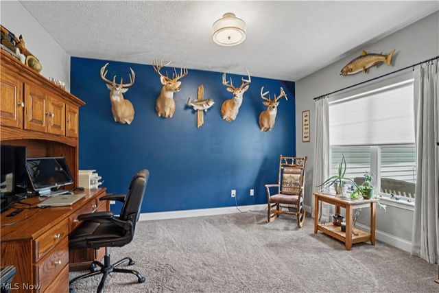 5667 N Torch Road, Coolville, OH 45723