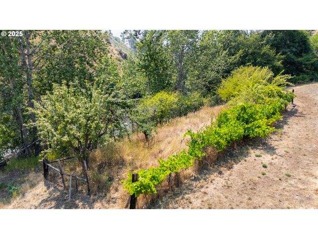 54312 HIGHWAY 86, Halfway, OR 97834