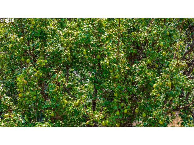 54312 HIGHWAY 86, Halfway, OR 97834