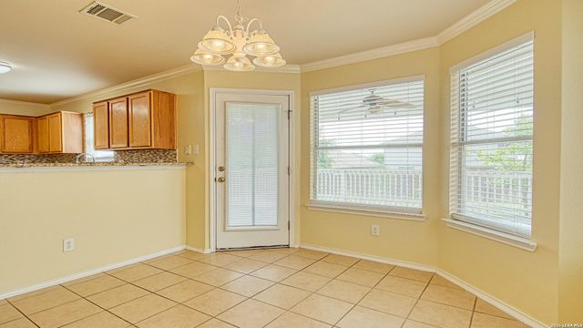 10310 Briar Rose, San Antonio, TX 78254