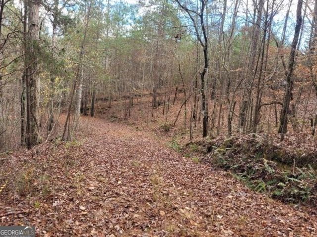 18.22 Talona Road, Ellijay, GA 30540