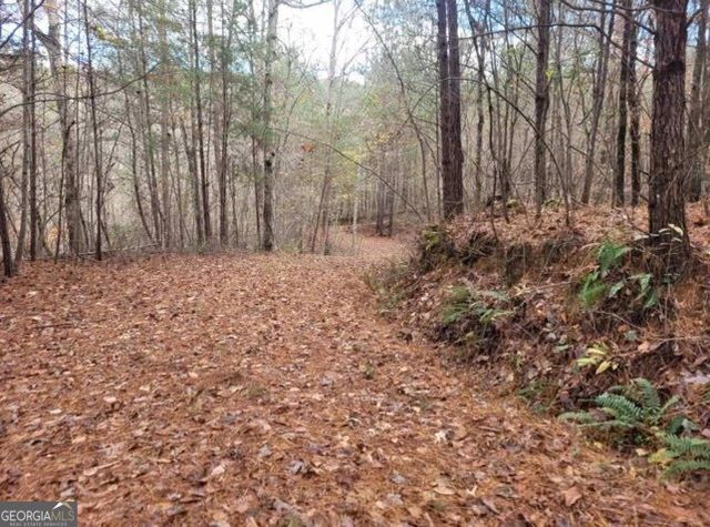 18.22 Talona Road, Ellijay, GA 30540