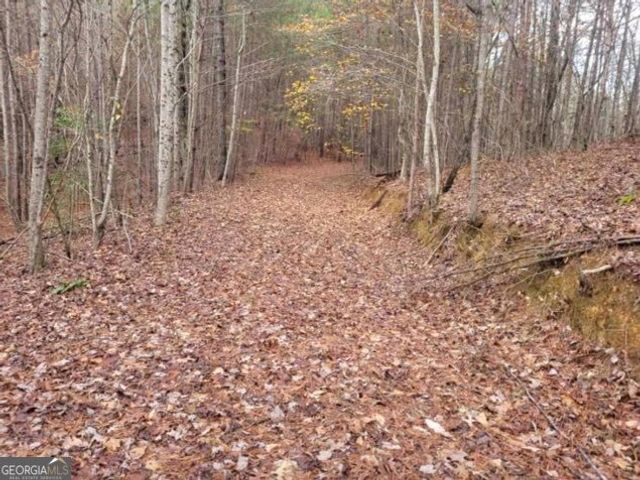18.22 Talona Road, Ellijay, GA 30540