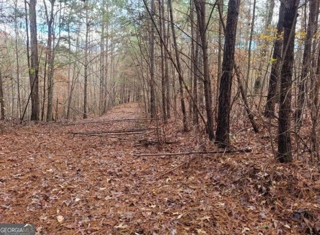 18.22 Talona Road, Ellijay, GA 30540