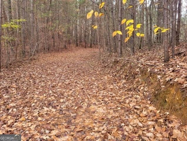 18.22 Talona Road, Ellijay, GA 30540