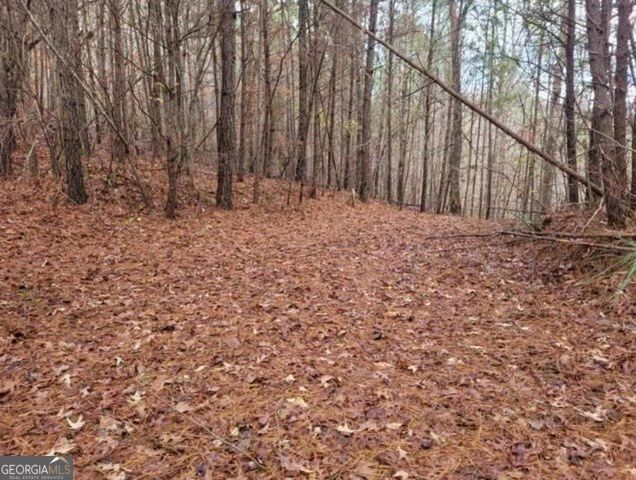 18.22 Talona Road, Ellijay, GA 30540