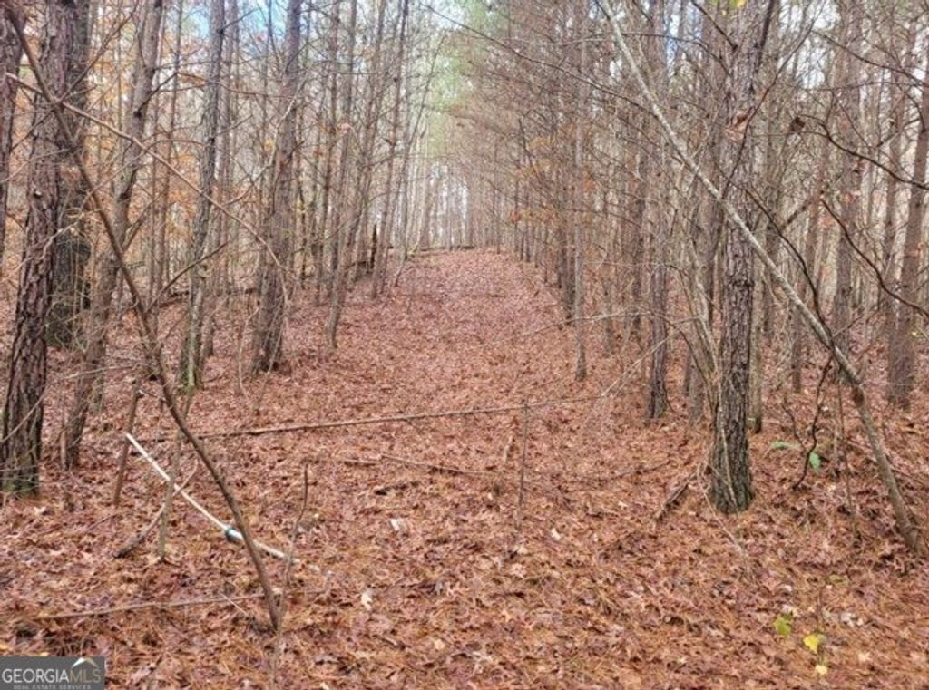 18.22 Talona Road, Ellijay, GA 30540