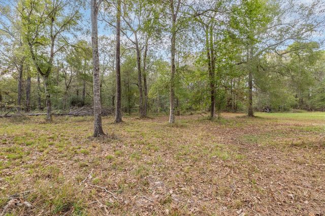 17 W Old Field Drive, Huffman, TX 77336