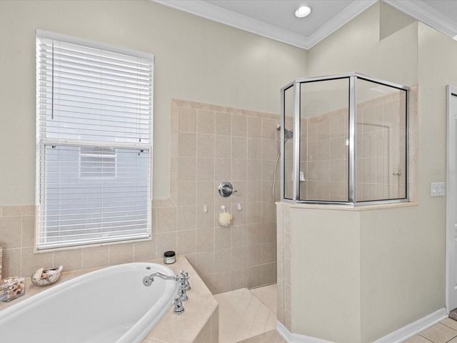 7637 GRASMERE DRIVE, Land O Lakes, FL 34637