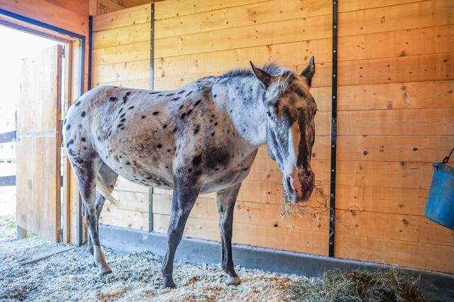 100 Cram Road, Sanbornton, NH 03269