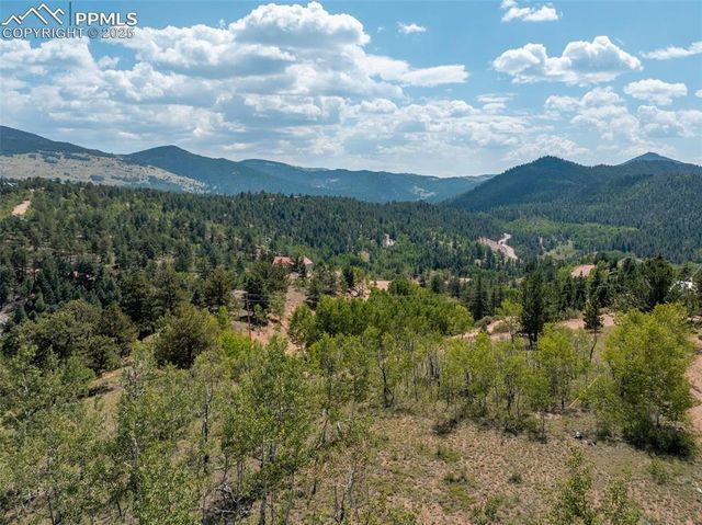 11893 S Highway 67, Divide, CO 80814