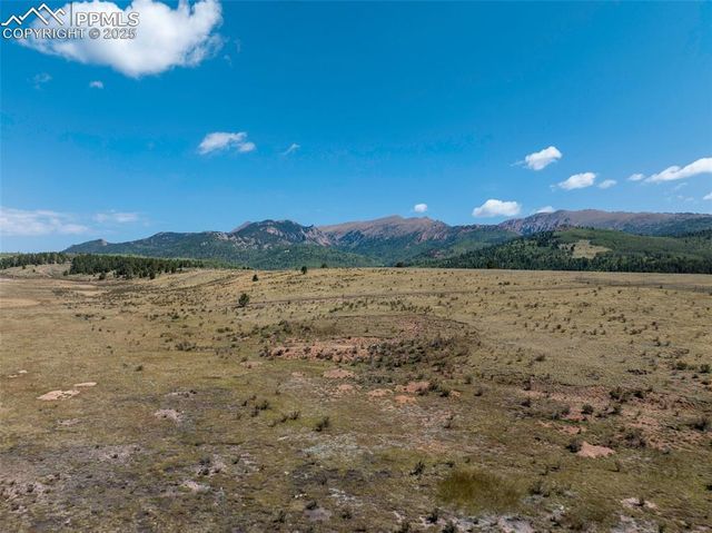 11893 S Highway 67, Divide, CO 80814