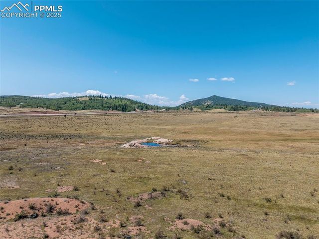 11893 S Highway 67, Divide, CO 80814