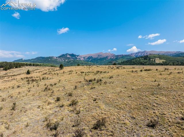 11893 S Highway 67, Divide, CO 80814