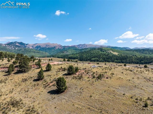 11893 S Highway 67, Divide, CO 80814
