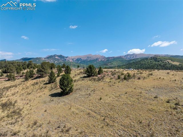 11893 S Highway 67, Divide, CO 80814