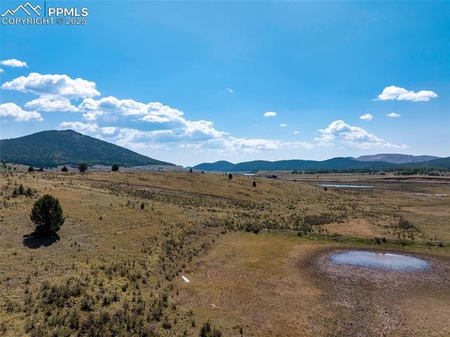 11893 S Highway 67, Divide, CO 80814
