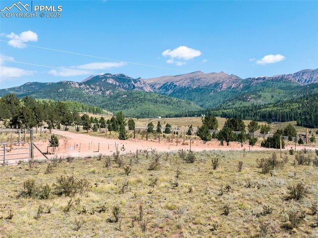 11893 S Highway 67, Divide, CO 80814