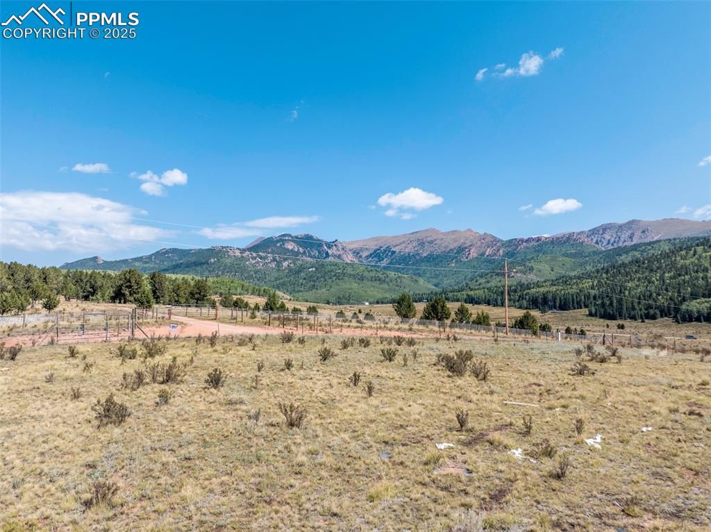 11893 S Highway 67, Divide, CO 80814
