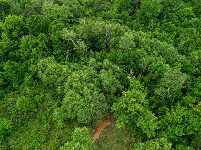 7086 N State Highway 155, Gilmer, TX 75644