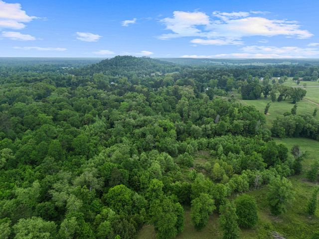 7086 N State Highway 155, Gilmer, TX 75644