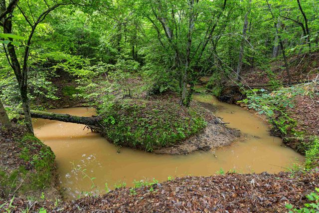 7086 N State Highway 155, Gilmer, TX 75644