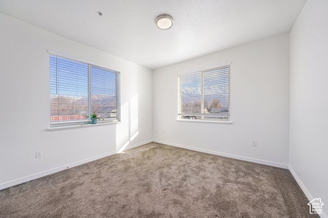 502 S 1040 E #243, American Fork, UT 84003