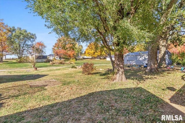 316 S CURTIS Street, Edinburg, IL 62531