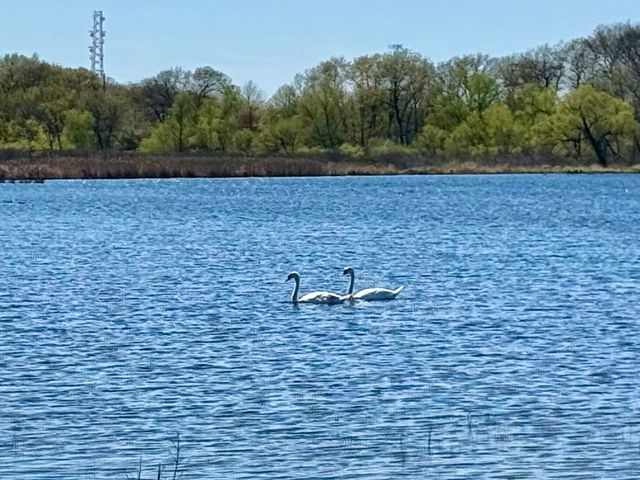 601 N Holly Lane, Griffith, IN 46319