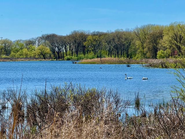 601 N Holly Lane, Griffith, IN 46319