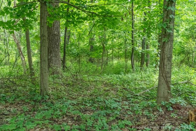 6635 Vinton Avenue Nw, Alpine Twp, MI 49321