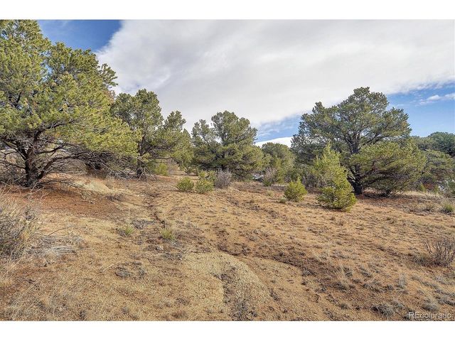 31950 Forest Service Road 376, Buena Vista, CO 81211