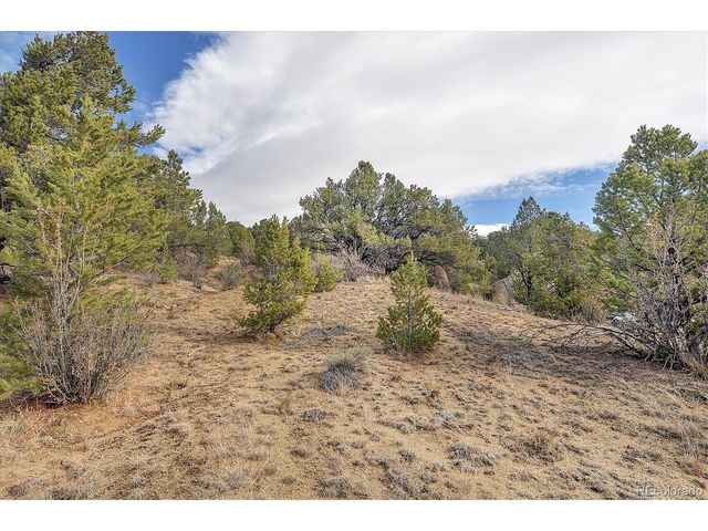 31950 Forest Service Road 376, Buena Vista, CO 81211