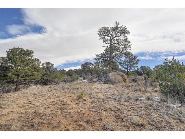 31950 Forest Service Road 376, Buena Vista, CO 81211