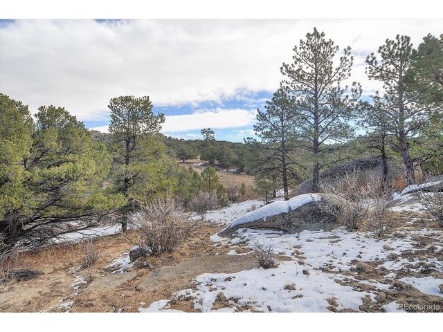 31950 Forest Service Road 376, Buena Vista, CO 81211