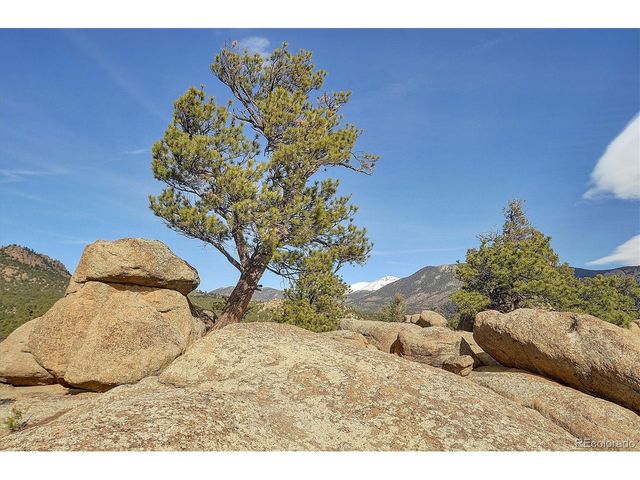 31950 Forest Service Road 376, Buena Vista, CO 81211