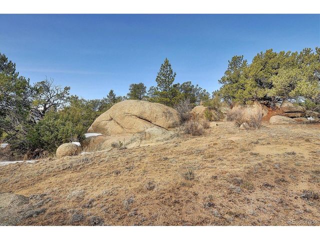 31950 Forest Service Road 376, Buena Vista, CO 81211