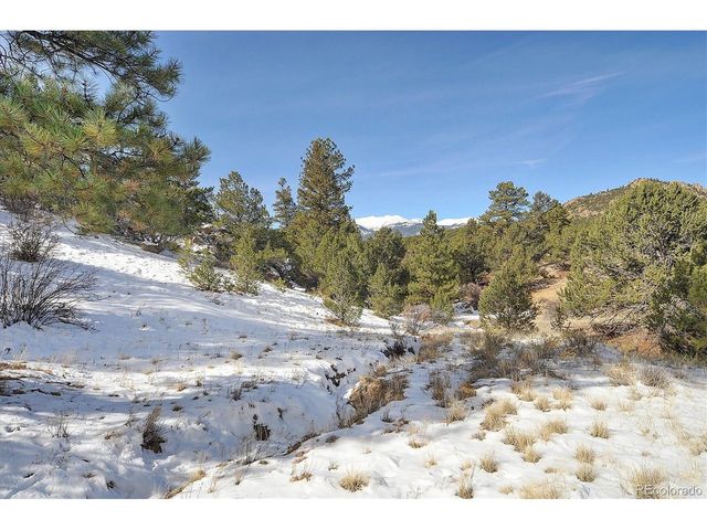 31950 Forest Service Road 376, Buena Vista, CO 81211