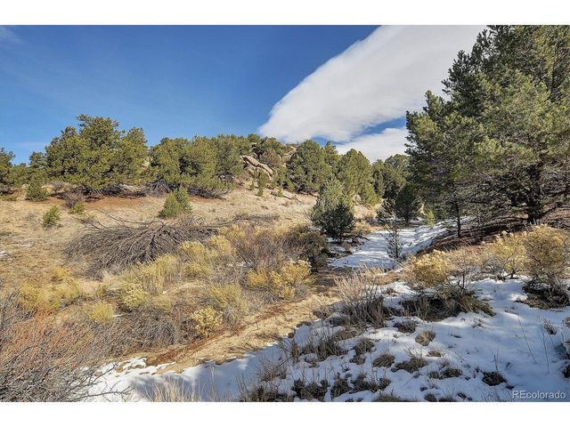 31950 Forest Service Road 376, Buena Vista, CO 81211